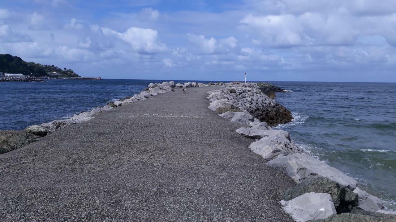Les Hirondelles 2km De La Plage-jardin-wifi-parking-draps Et Serviettes Hendaye